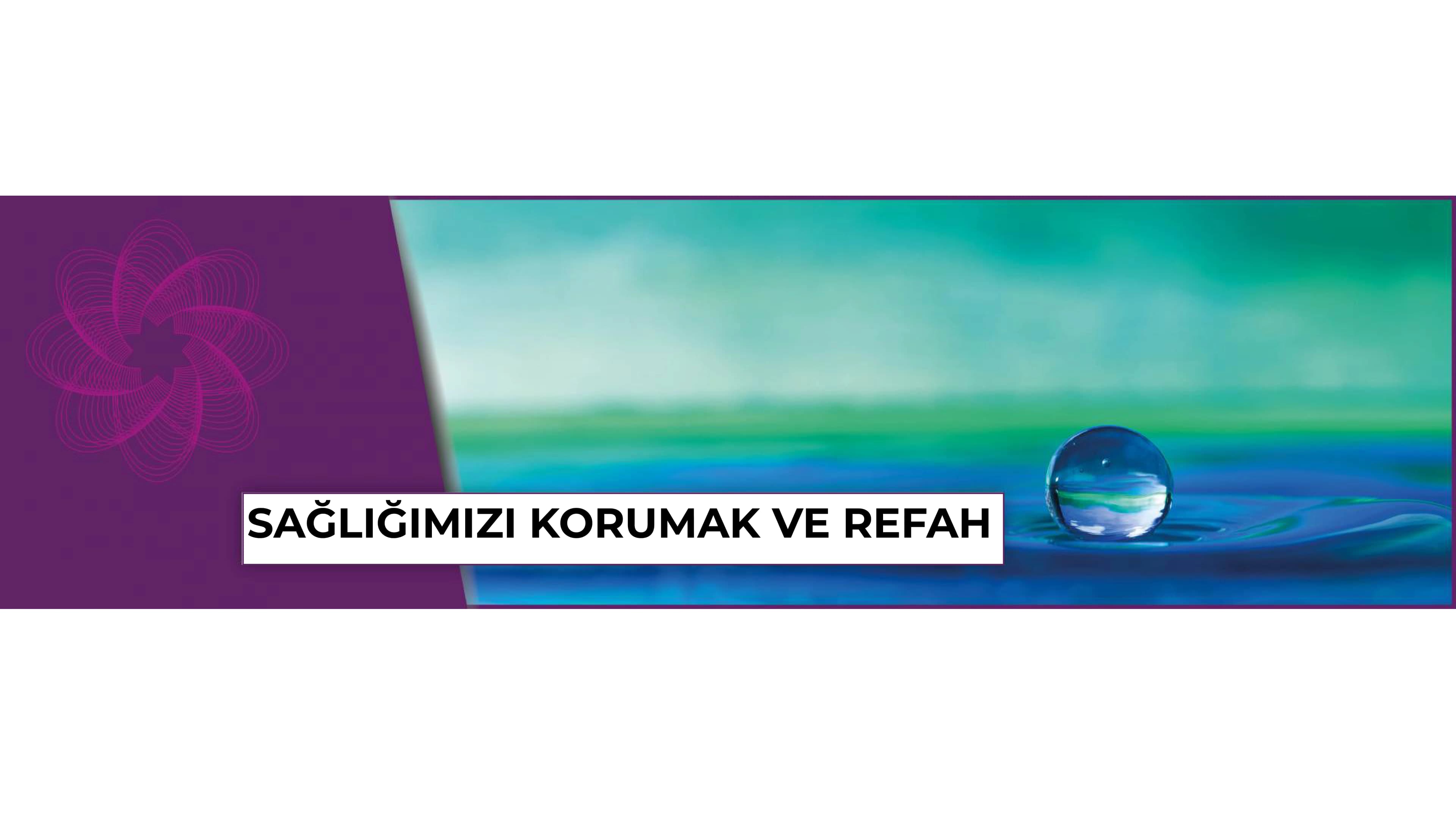  Paul Schmidt’e göre Biorezonans terapisi