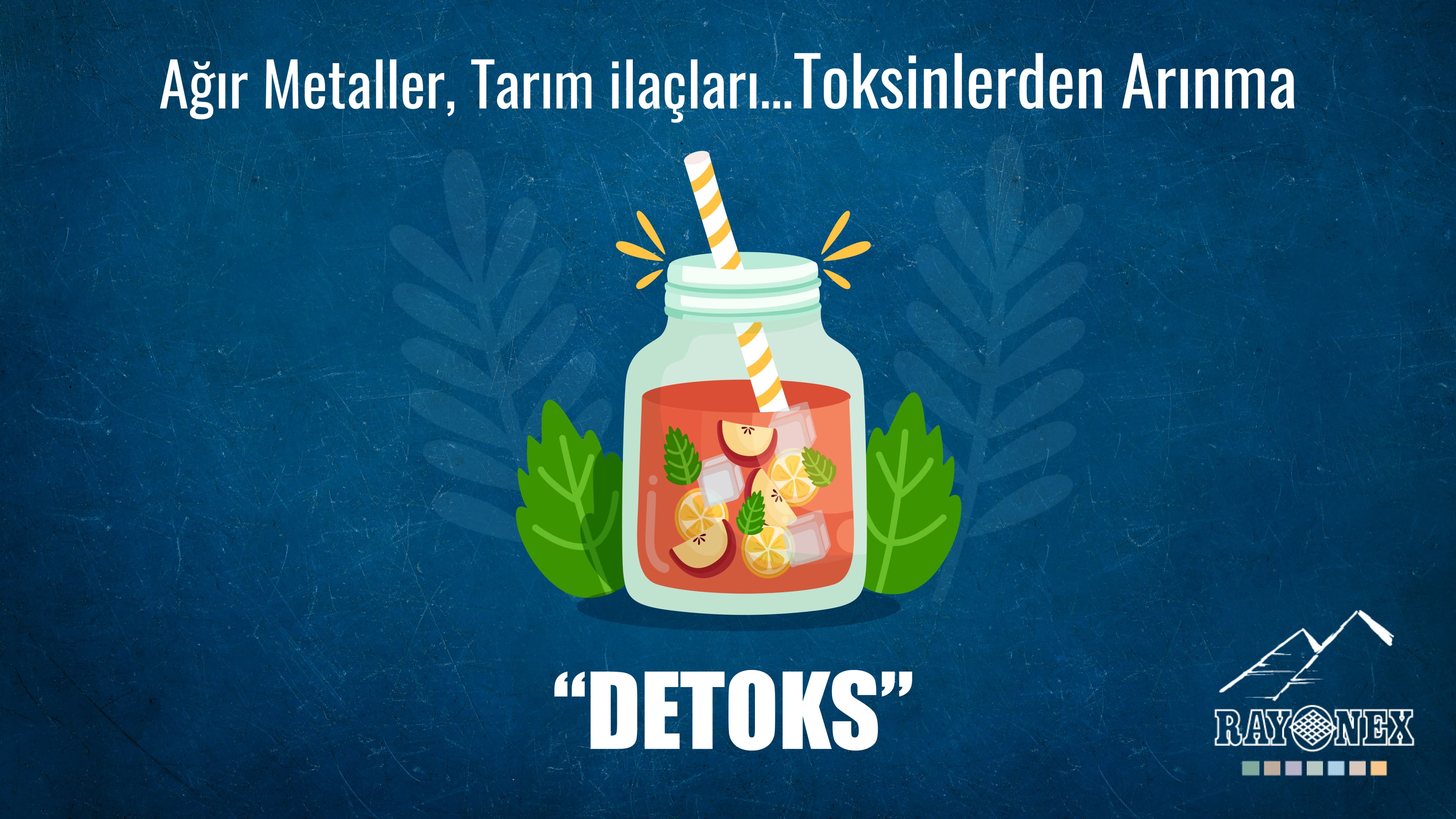 Ağır Metaller, Tarım ilaçları… Toksinlerden Arınma : Detoks 