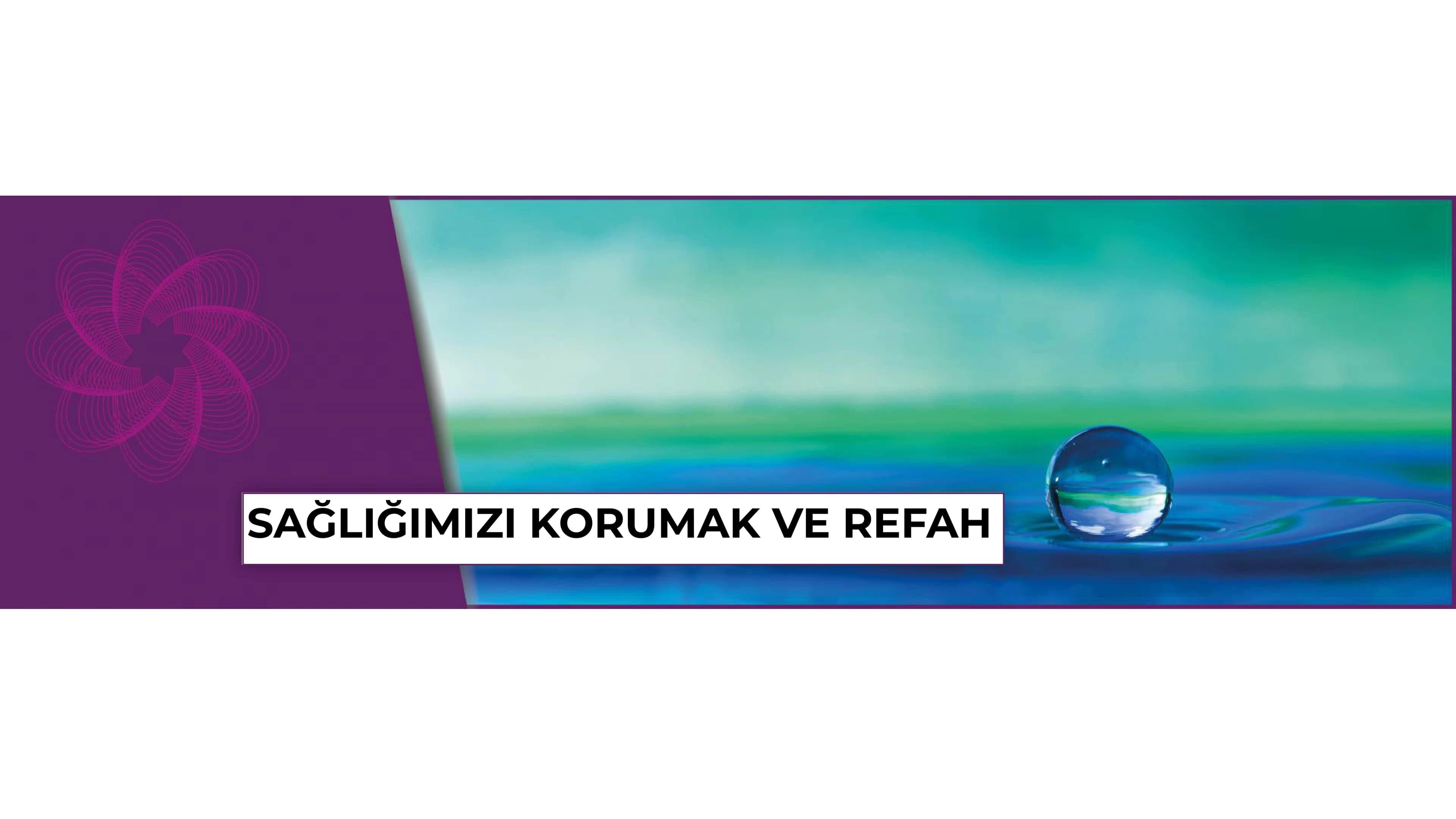  Paul Schmidt’e göre Biorezonans terapisi